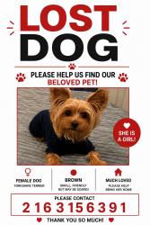 Lost Female Dog last seen Henritze Avenue, Cleveland, OH 44109