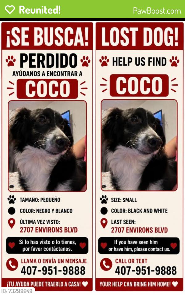 Reunited Male Dog last seen Orlando, Pine Hills, FL 32818