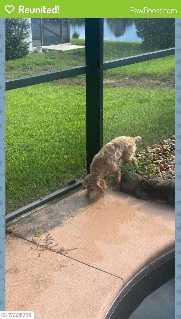 Reunited Unknown Dog last seen Newbury Cir, Melbourne, FL 32940, USA, Melbourne, FL 32940