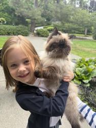 Lost Female Cat last seen 55th Ave NE and Windemere Rd, Seattle, WA 98105