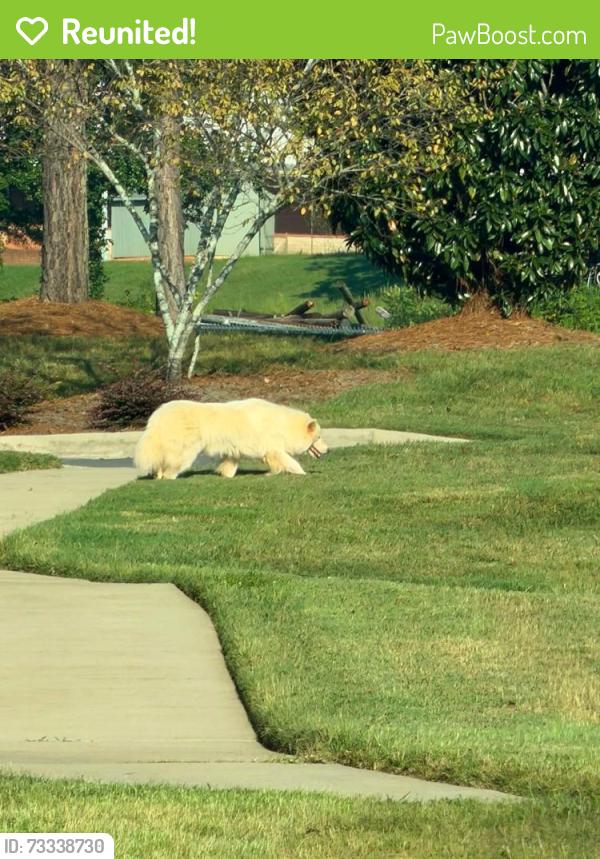 Reunited Unknown Dog last seen Downtown McAdenville, McAdenville, NC 28101