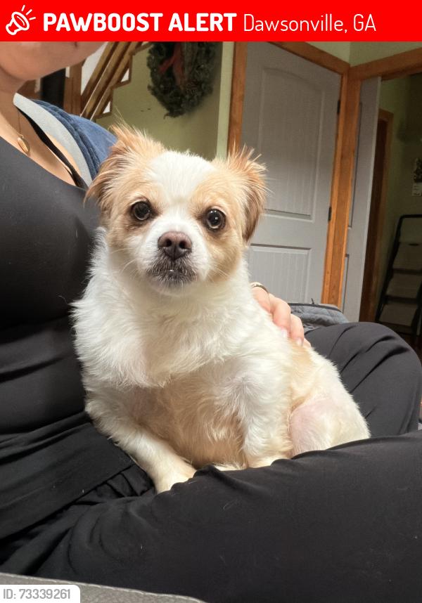 Lost Female Dog last seen Robert Gibby, Dawsonville, GA 30534