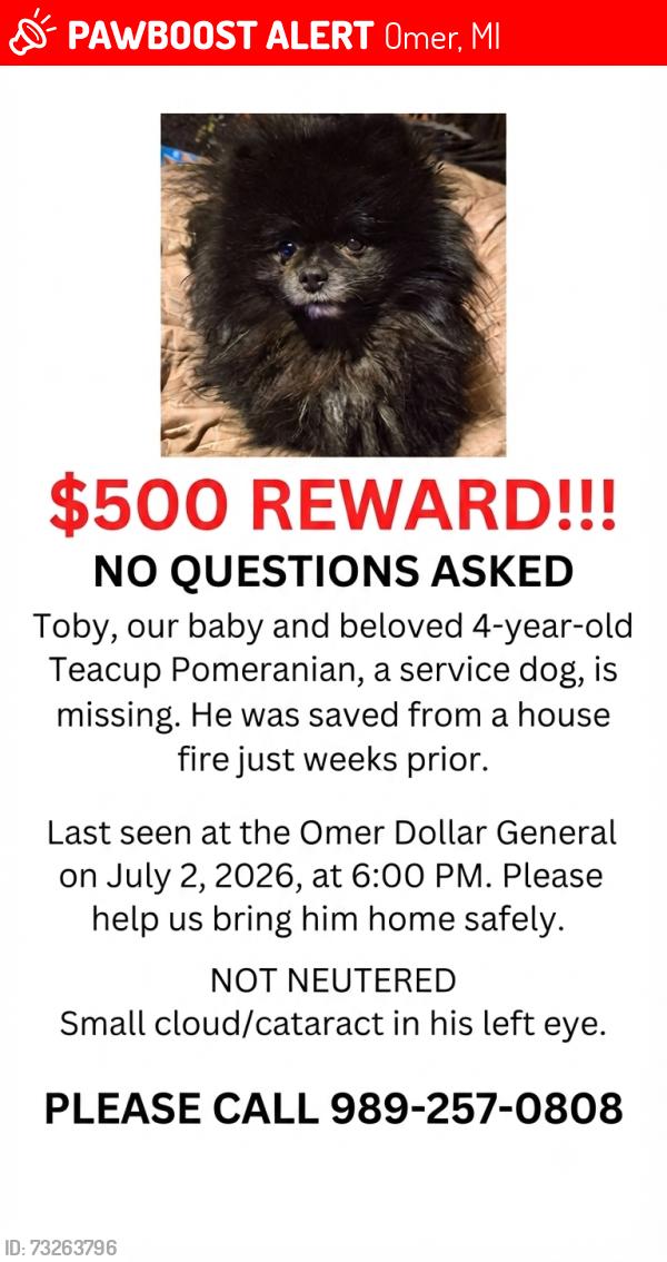 Lost Male Dog last seen US 23, Omer, MI 48749