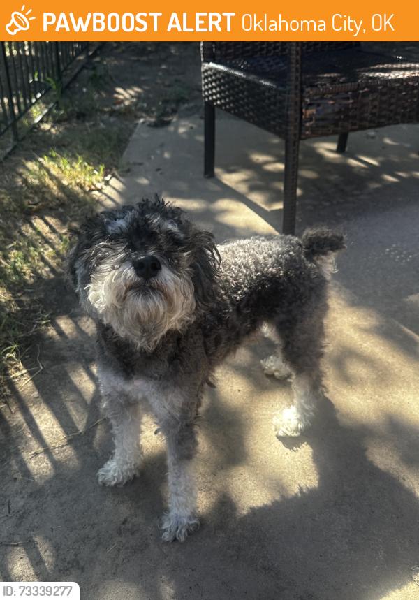 Found/Stray Male Dog last seen sw 78th terrace, Oklahoma City, OK 73139
