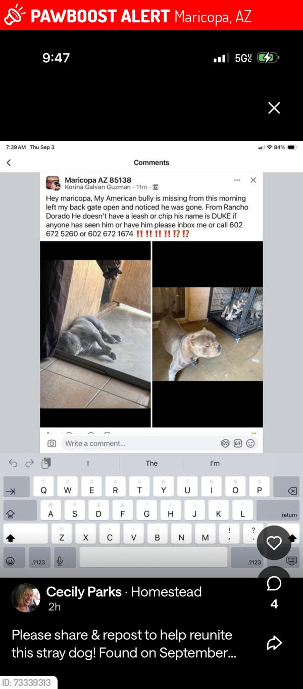 Lost Male Dog last seen Idk, Maricopa, AZ 85138