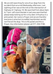 Lost Female Dog last seen Hwy 22 and HWY 18 intersection, Grand Ronde, OR 97347