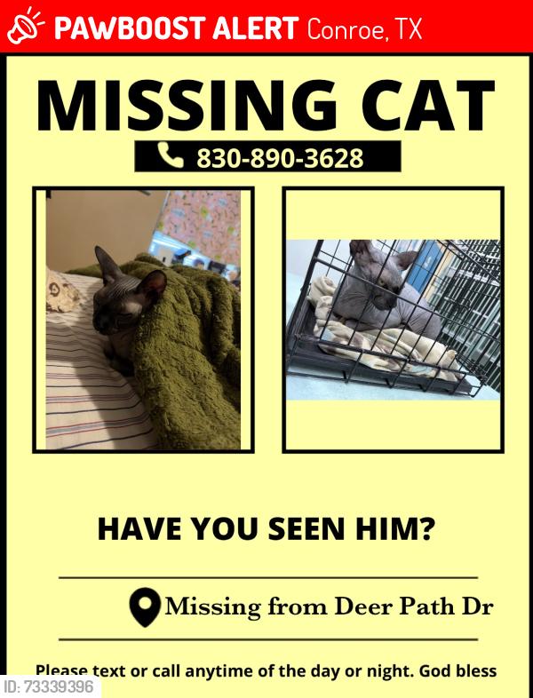Lost Male Cat last seen Frazier, Conroe, TX 77303