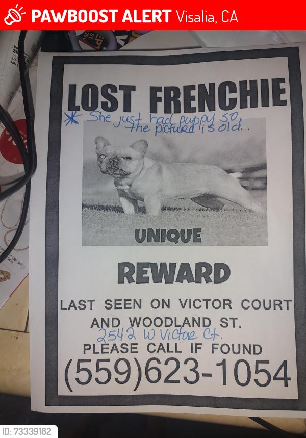 Lost Female Dog last seen Woodland and Victor, Visalia, CA 93277