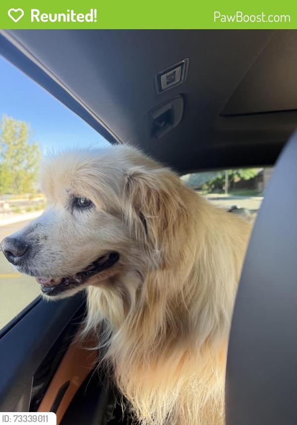 Reunited Unknown Dog last seen Center Street and Old Mill Road, Heber City, UT 84032