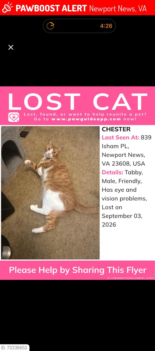 Lost Male Cat last seen Windsor great park, Newport News, VA 23608