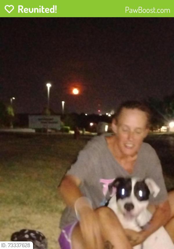 Reunited Female Dog last seen Nw Pennsylvania, Oklahoma City, OK 73134