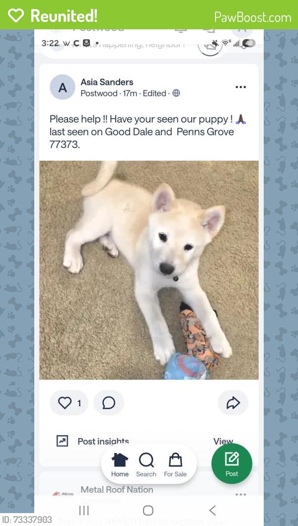 Reunited Male Dog last seen PENNS GROVE, Spring, TX 77373