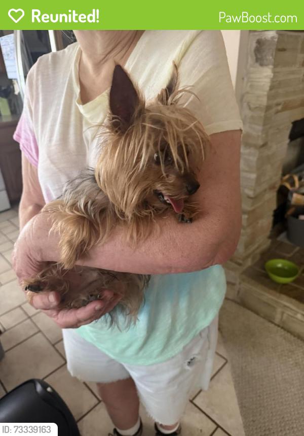 Reunited Male Dog last seen White wing dr and 6th st, Krum, TX 76249