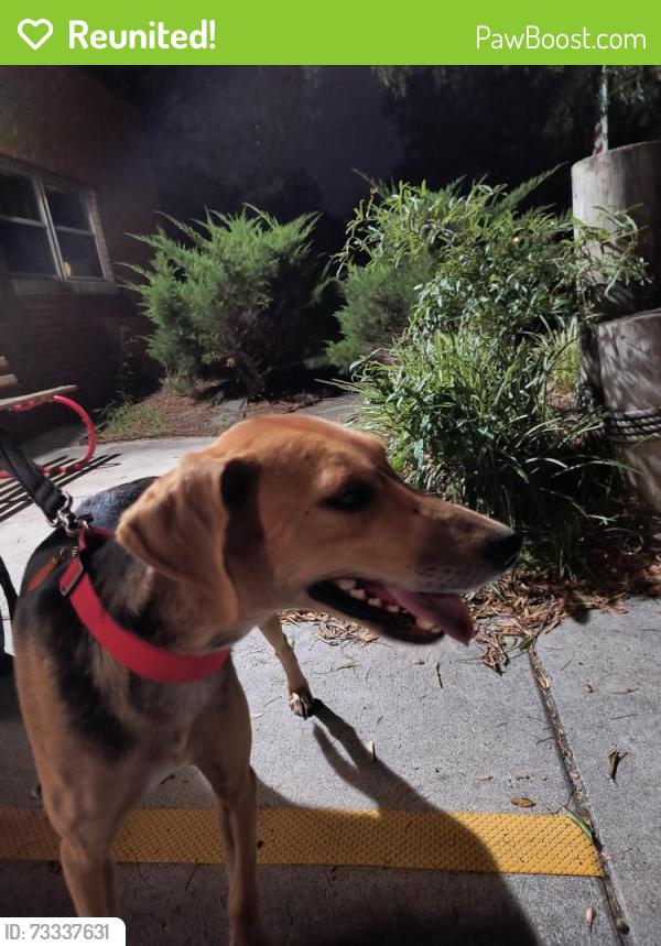 Reunited Unknown Dog last seen Fishermans/Radnor Road, Norfolk, VA 23503