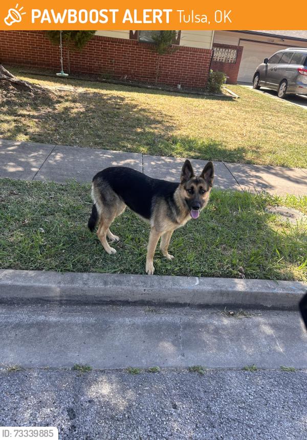 Found/Stray Unknown Dog last seen On the front lawn of the hse shown, Morelos is close by this neighborhood, Tulsa, OK 74129