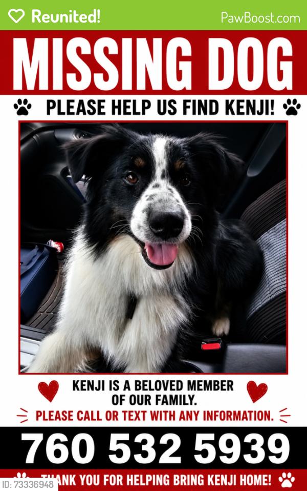 Reunited Male Dog last seen Cougar Pass, Escondido, CA 92026