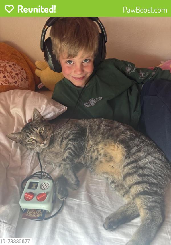 Reunited Male Cat last seen 72nd and Ward - Danny Kendrick Park West, Arvada, CO 80004