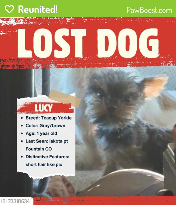 Reunited Female Dog last seen Lakota point & Indian Village Hts, Fountain, CO 80817