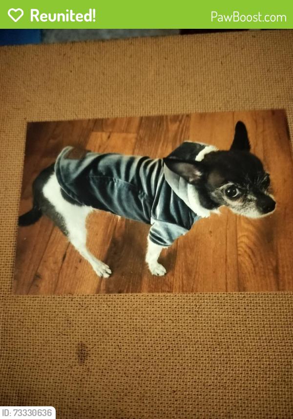 Reunited Female Dog last seen 36th Street and Oak, Phoenix, AZ 85008
