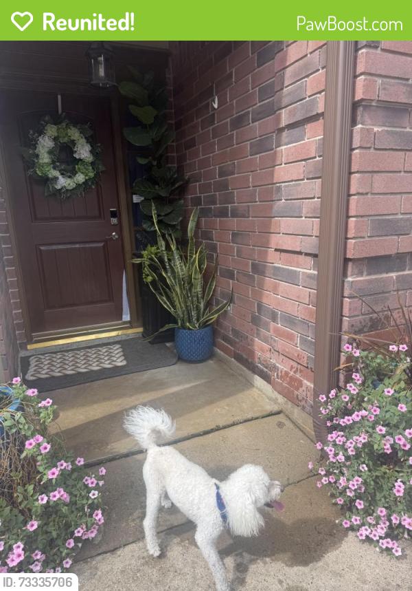 Reunited Unknown Dog last seen Highway 6 and bissonett, Houston, TX 77083
