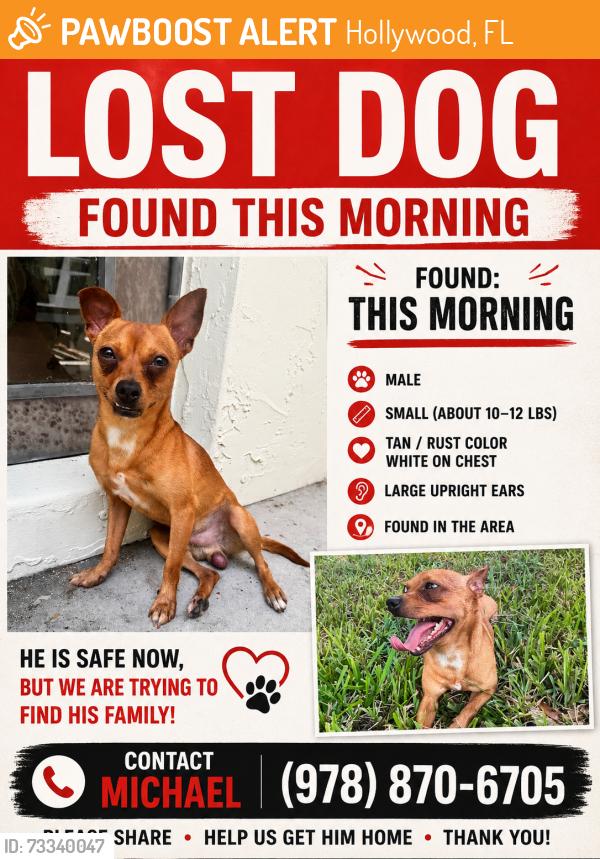 Found/Stray Male Dog last seen W Lake and Stonebridge Pkwy, Hollywood, FL 33026