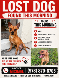 Found/Stray Male Dog last seen W Lake and Stonebridge Pkwy, Hollywood, FL 33026