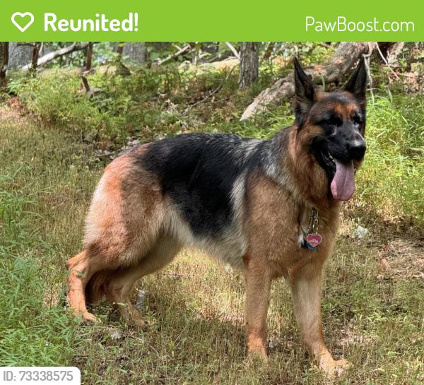 Reunited Female Dog last seen Falls Rd. Between Mt. Carmel Td. And Gunpowder Rd., Upperco, MD 21155