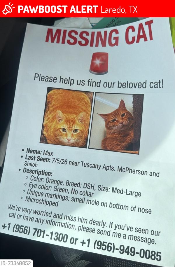 Lost Male Cat last seen 7/5/26 near Tuscany Apts. McPherson and Shiloh, Laredo, TX 78045