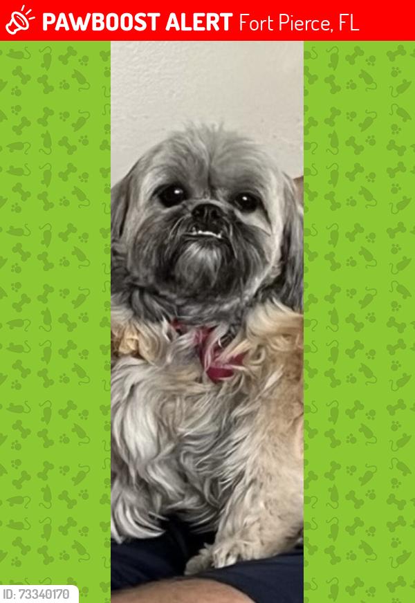 Lost Female Dog last seen Keene Road in St. Lucie Boulevard, Fort Pierce, FL 34946