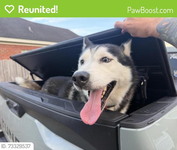 Reunited Male Dog last seen Cottage hill, Mobile, AL 36695
