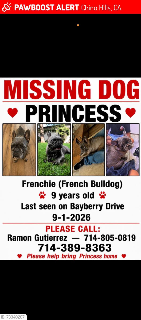 Lost Female Dog last seen Bayberry, Chino Hills, CA 91709