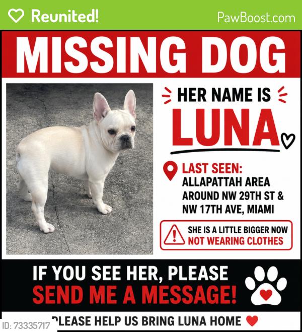 Reunited Female Dog last seen Nw 17th ave, Miami, FL 33127