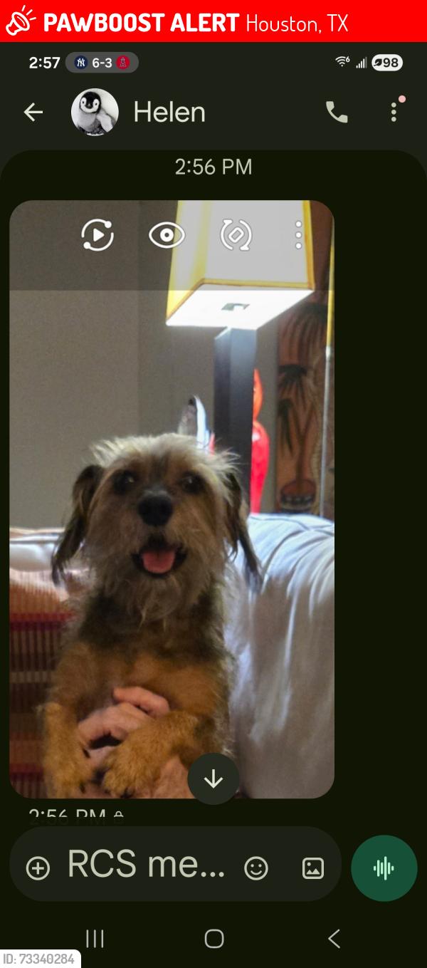 Lost Male Dog last seen Near willowbend blvd, Houston, TX 77035