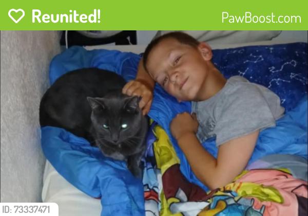 Reunited Male Cat last seen Davey rd and Us1 near iron ax, South Daytona, FL 32119