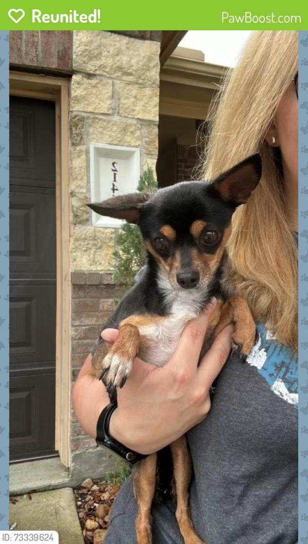 Reunited Female Dog last seen Suncliff ln and valley ranch bend, Porter, TX 77365