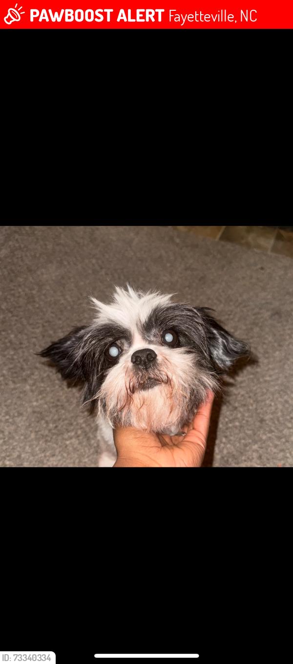 Lost Female Dog last seen Bragg blvd, Fayetteville, NC 28303