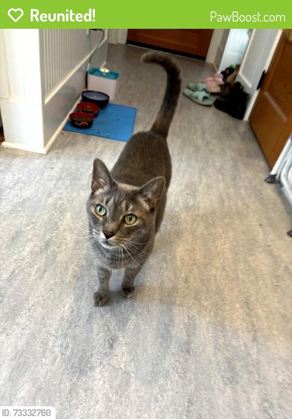 Reunited Male Cat last seen SE Tibbetts St between 26th and 28th, Portland, OR 97202