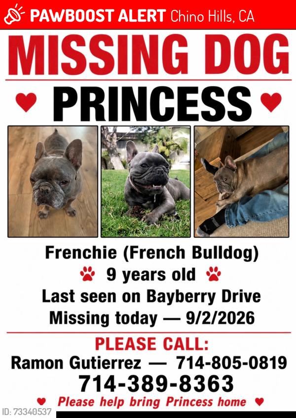 Lost Female Dog last seen Bayberry Dr Chino Hills parkway, Chino Hills, CA 91709