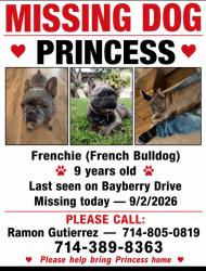 Lost Female Dog last seen Bayberry Dr Chino Hills parkway, Chino Hills, CA 91709