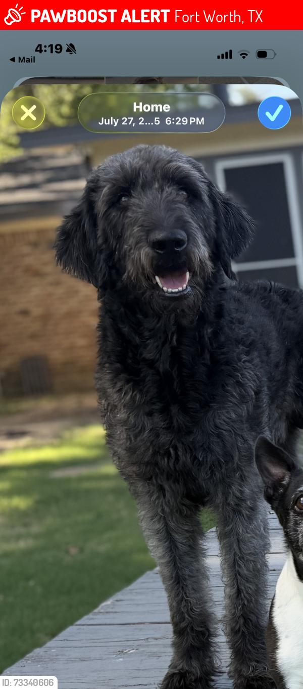 Lost Male Dog last seen Rufe snow and glenview, Fort Worth, TX 76180