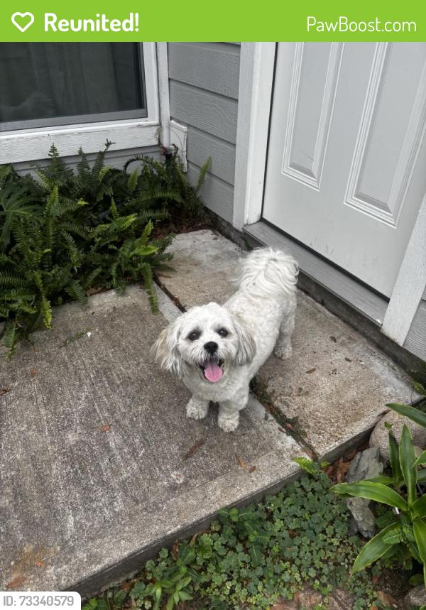 Reunited Male Dog last seen Near Sunset Dr, Friendswood, TX 77546, USA, Friendswood, TX 77546