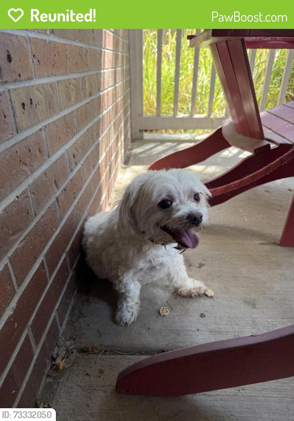 Reunited Male Dog last seen Downing way Thornton, Thornton, CO 80233