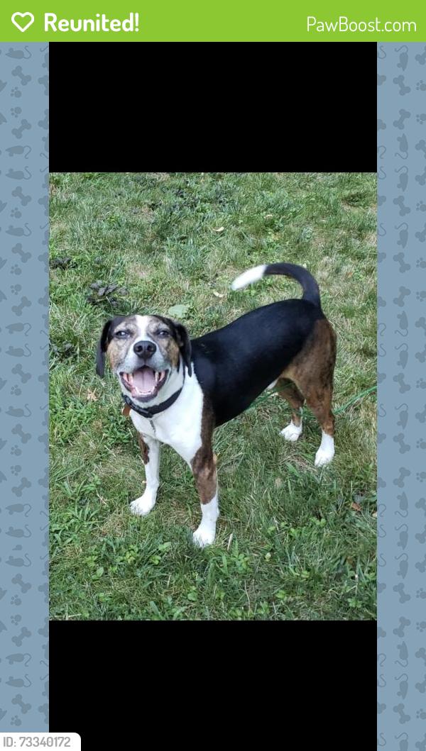 Reunited Male Dog last seen Lynn drive, Monroe, CT 06468