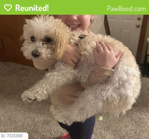 Reunited Female Dog last seen Near shady Ave Bentleyville pa, Bentleyville, PA 15314