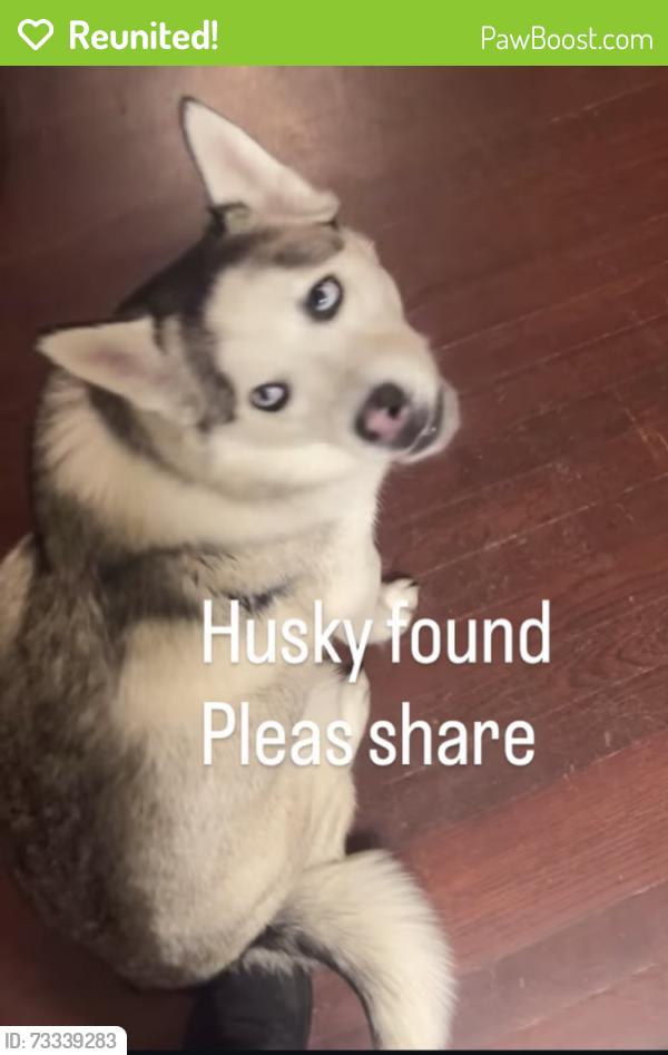 Reunited Unknown Dog last seen Coal/1st St, Albuquerque, NM 87102