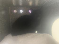 Shelter Stray Female Cat last seen Near S Capehart Street, Kearns Township, UT, 84118, 511 W 3900 S, Salt Lake City, UT 84123, USA