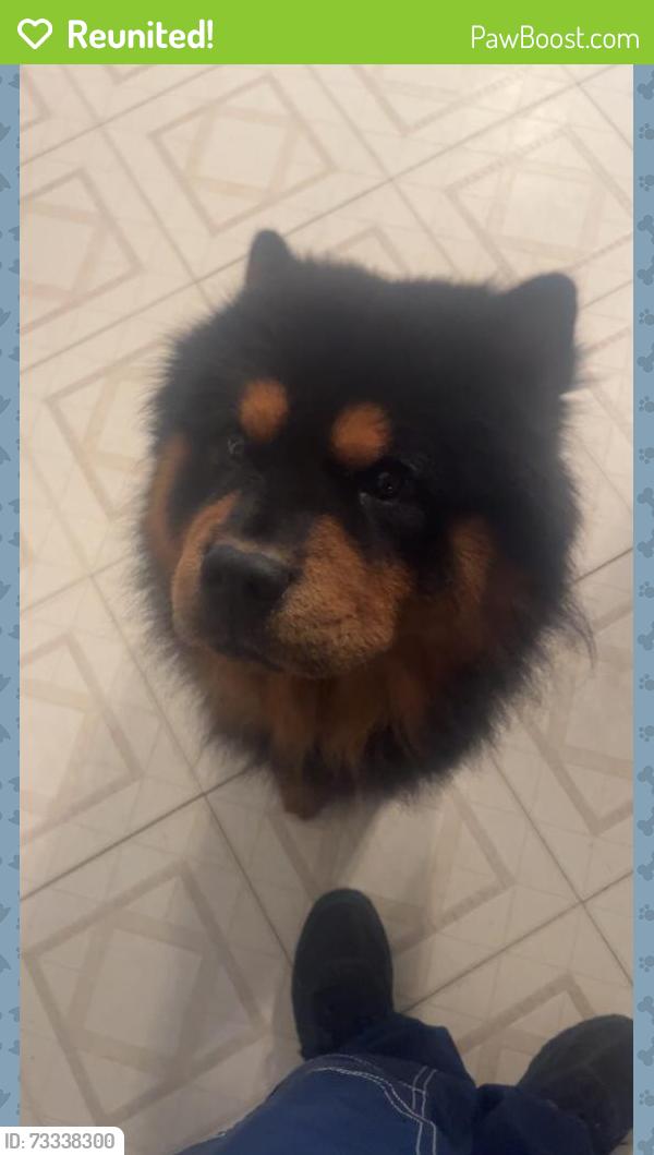 Reunited Male Dog last seen Jennings Dr, The Colony, TX 75056, USA, The Colony, TX 75056