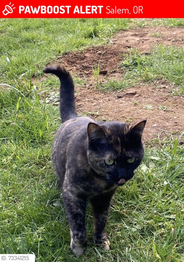 Lost Female Cat last seen Rippling Brook rd, Salem, OR 97317