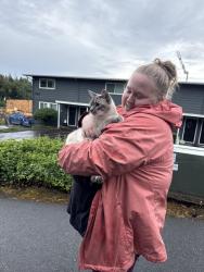 Reunited Male Cat last seen Evans street across from Boulevard Taphouse on Barbur, Portland, OR 97219