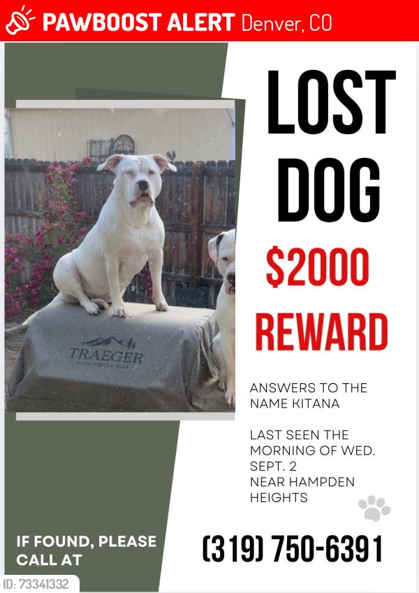 Lost Female Dog last seen E Cornell and s Dayton, Denver, CO 80231